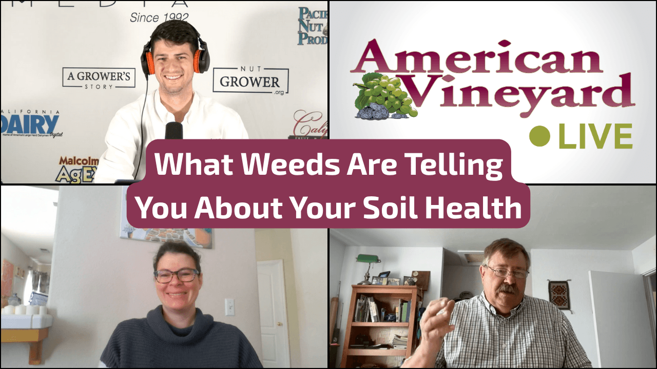 What Weeds are Telling You About Your Soil Health with American Vineyard Live