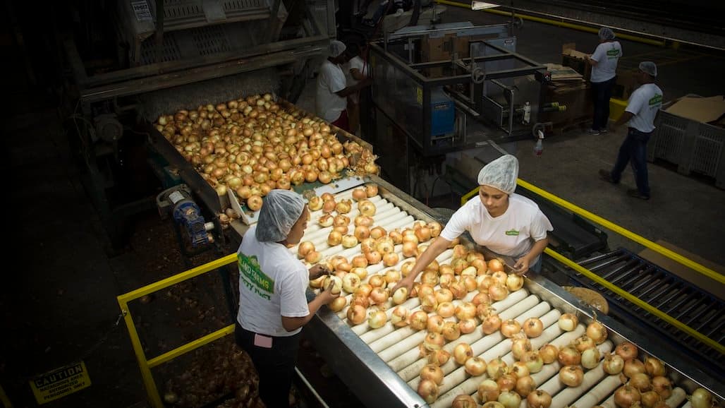 Ag Retailers Association Debuts LaborLink: A Smarter Way for to Find Workers