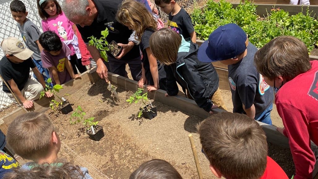 Innovative Ag Education Program Reaches Over 1 Million California Students