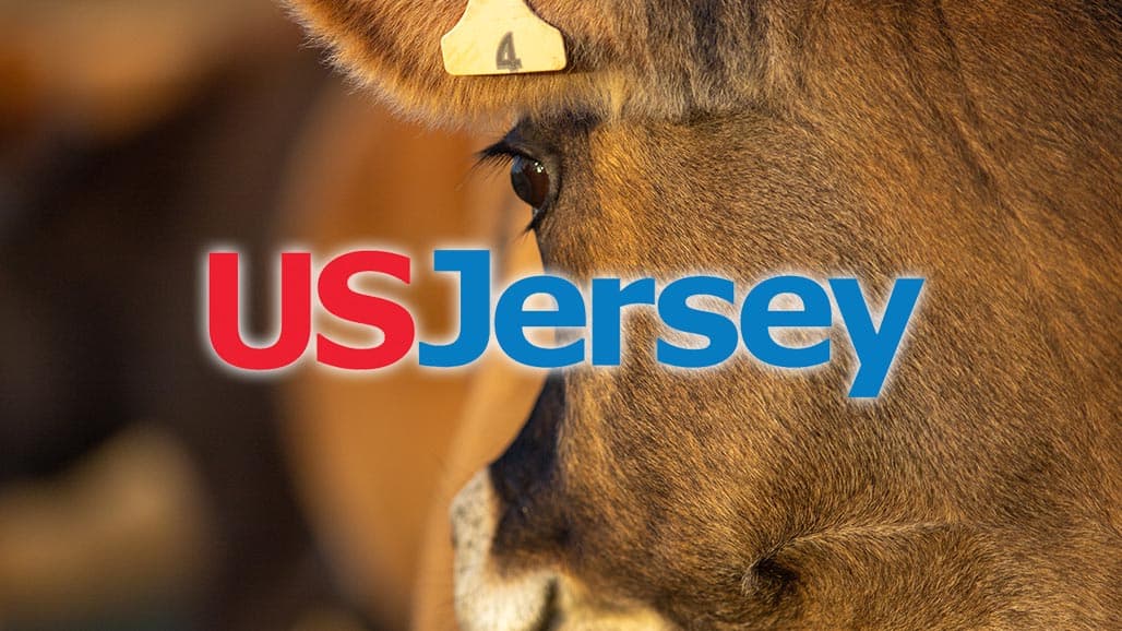 Tulare County Youth Shows Prize-Winning Cow at All American Junior Jersey Show