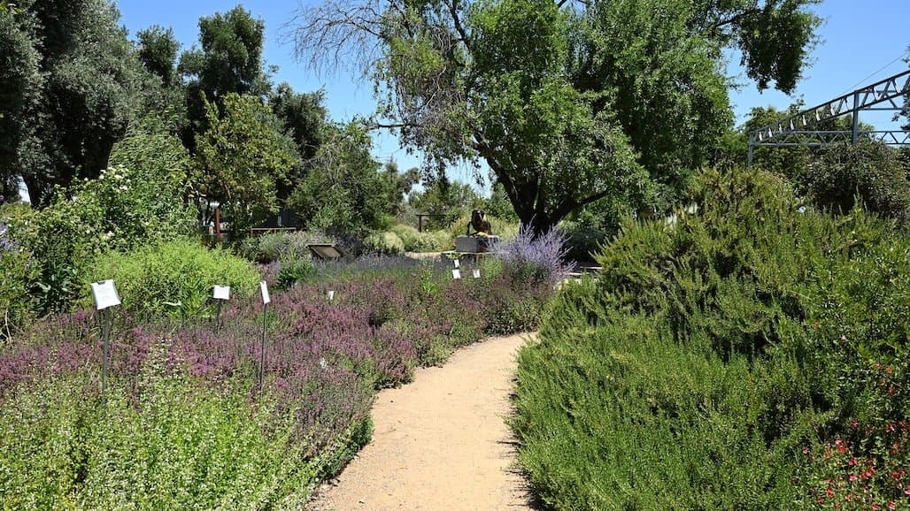 UC Davis Bee Haven Coordinator Receives Research Grant