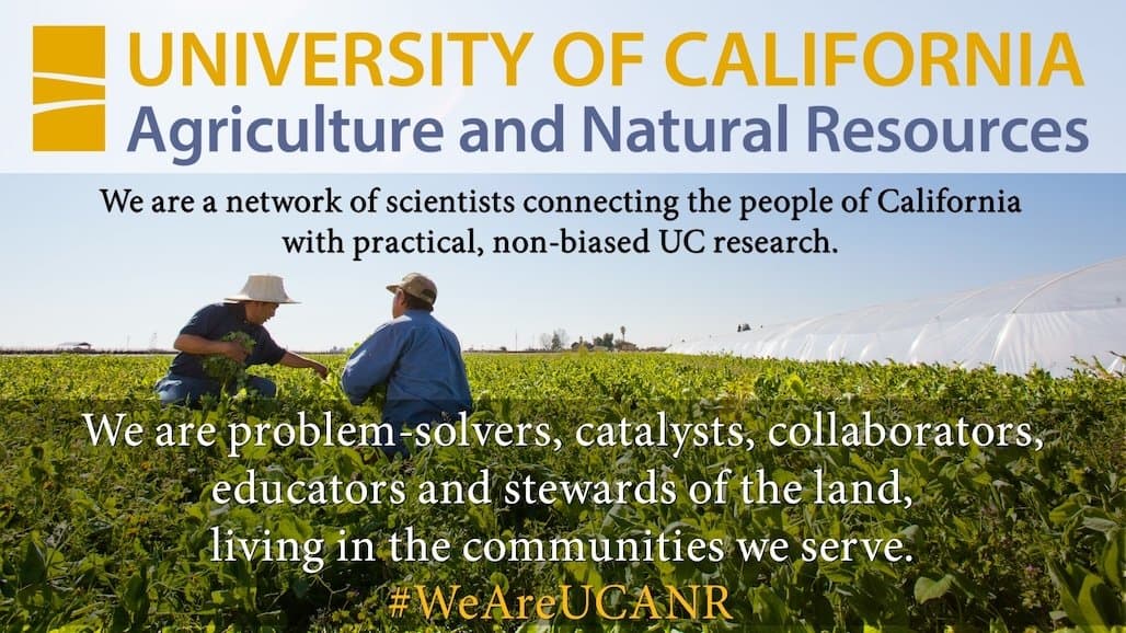 UC ANR Hires Experts in Disaster Resilience, Food Systems, Economics & More