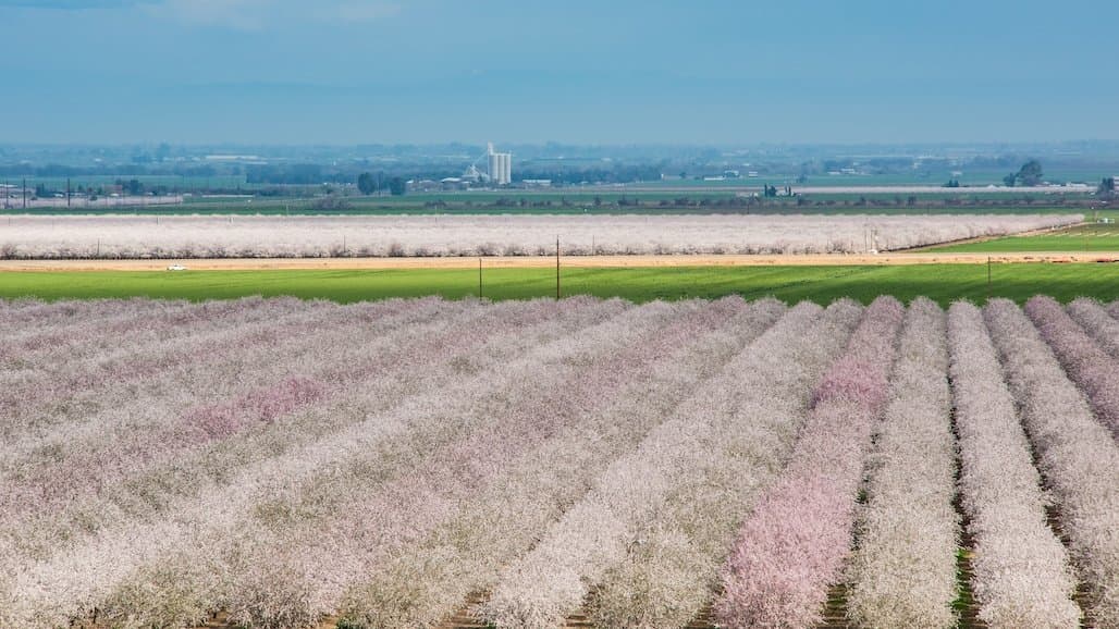 Ag, Natural Resources Support California’s Rank as World’s Fourth-Largest Economy