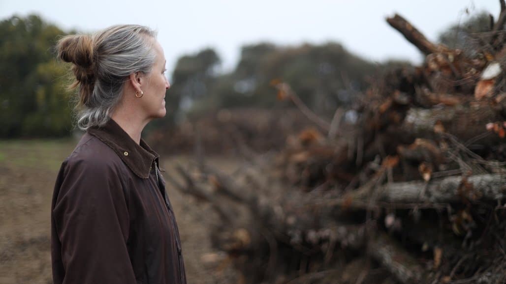 California Pear Farmers Seek Relief From Surging Argentine Imports That Undercut U.S. Market