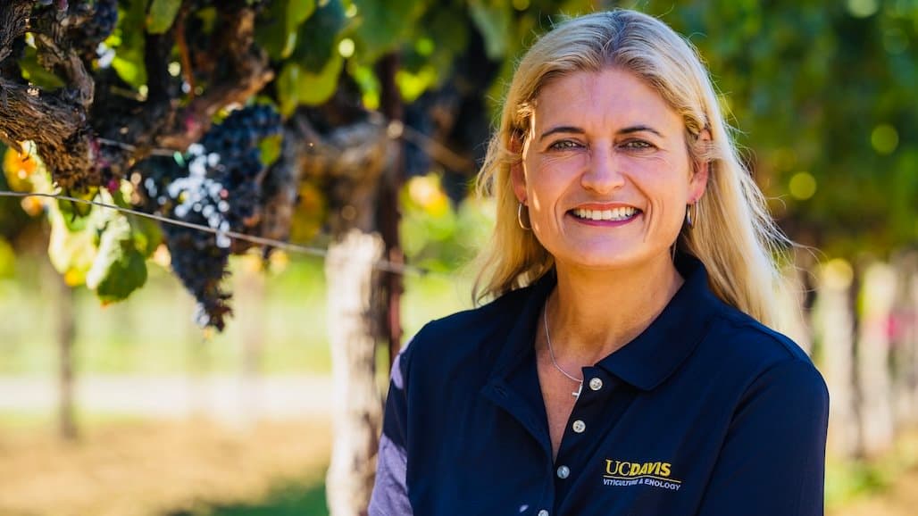 ASEV Renames Extension Distinction Award to Honor Dr. Anita Oberholster