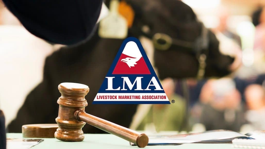 Livestock Marketing Association Opens Scholarship Applications