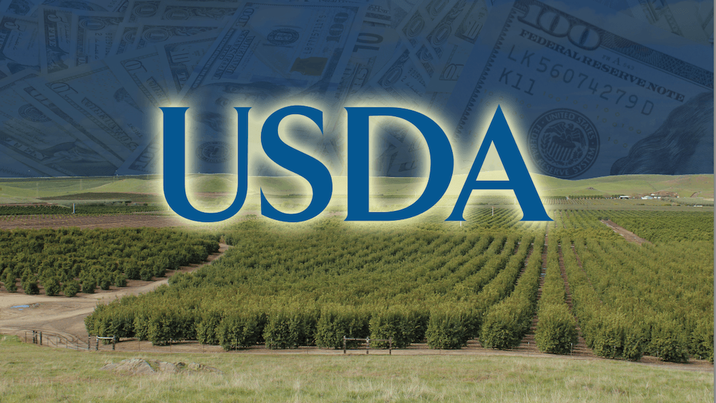 USDA Announces $39M Purchase for Pears, Split Peas
