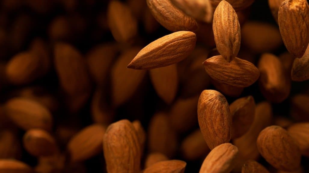 Almond Board of California Releases Market Update