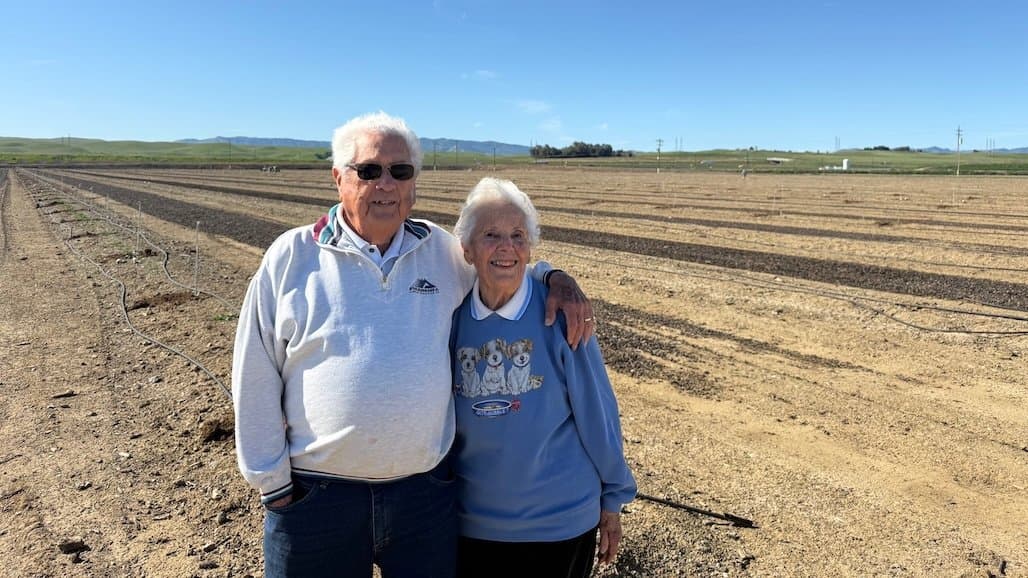 ‘Demo 57 Orchard’ Near Los Banos Showcases 57 Almond Variety and Rootstock Combinations