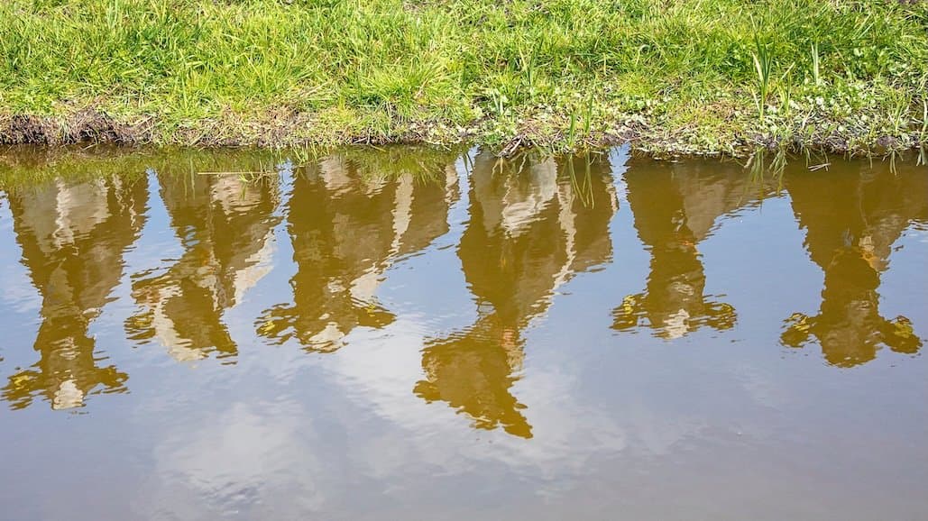 Water Quality Changes to Impact Central Valley Dairy Producers