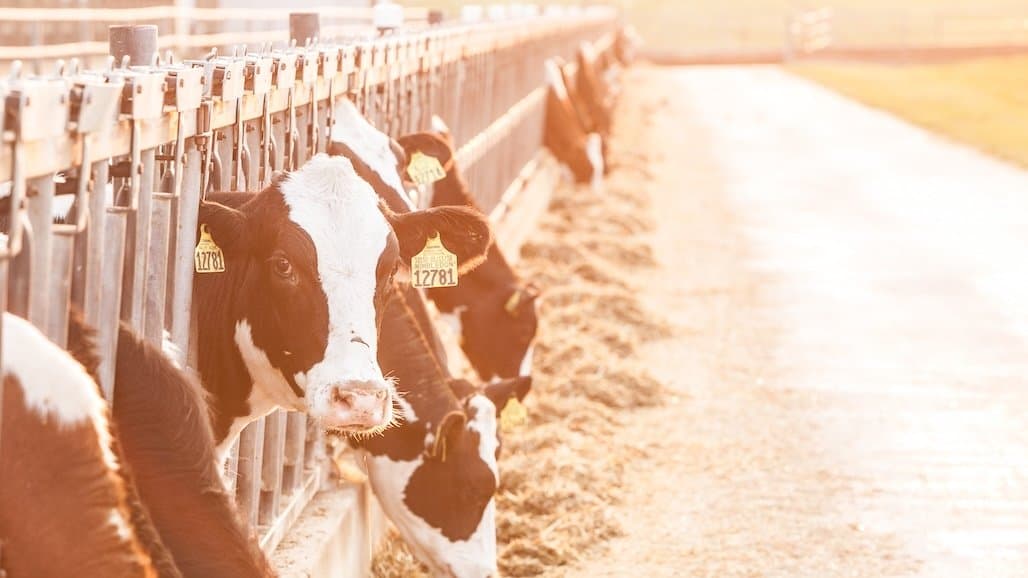 Lobby Day Focuses on Unlocking Alternative Manure Management