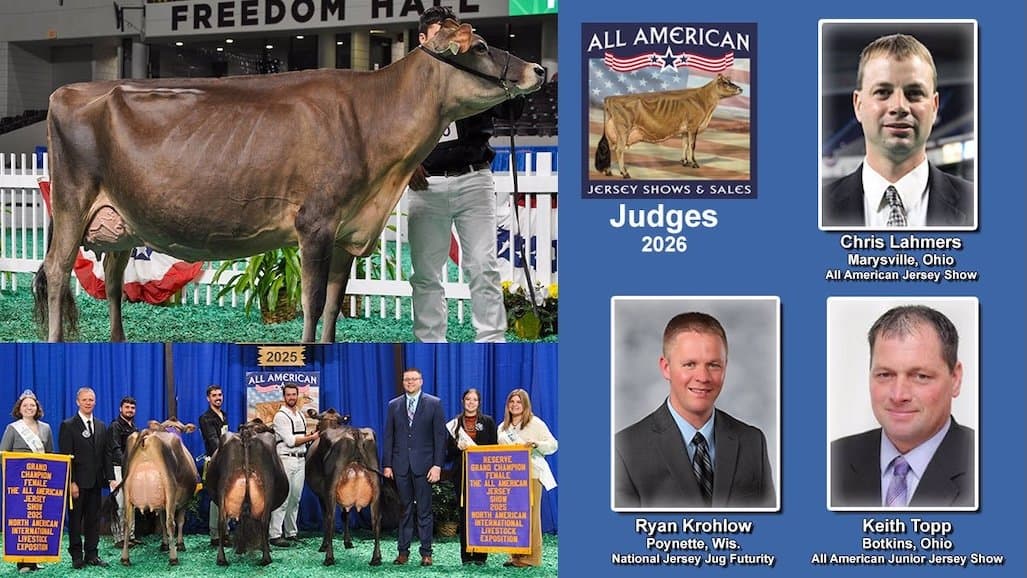 Judges Named for 2026 All American Jersey Shows