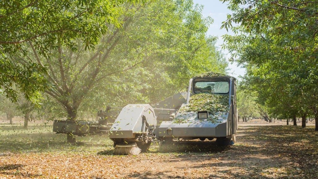 Blue Diamond Growers Issues Almond Crop Estimate