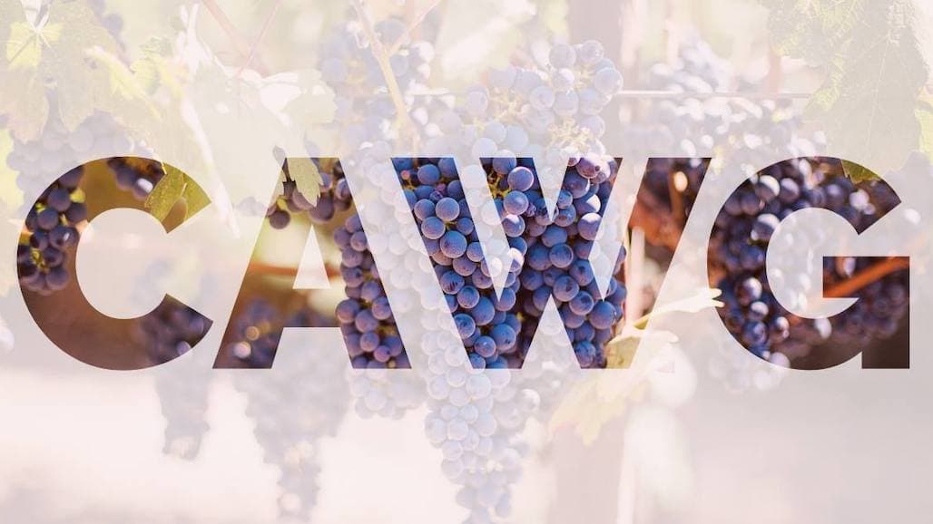 CAWG Foundation Awards $39,000 in Scholarships to Children of California Vineyard Employees