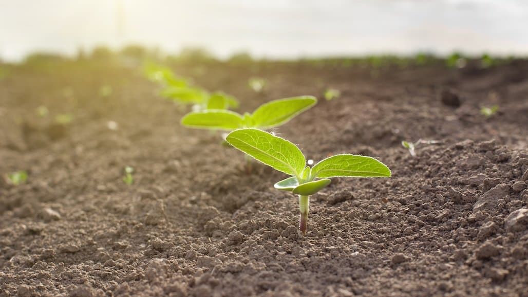 Transportation Policy Supports Timely Fertilizer Deliveries to Growers