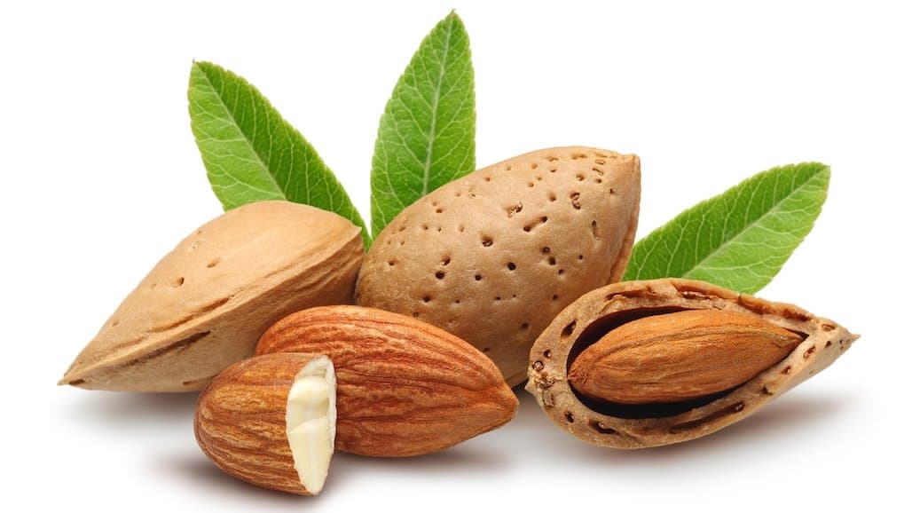 Almond Board of California Looks to Improve India Marketing Strategy