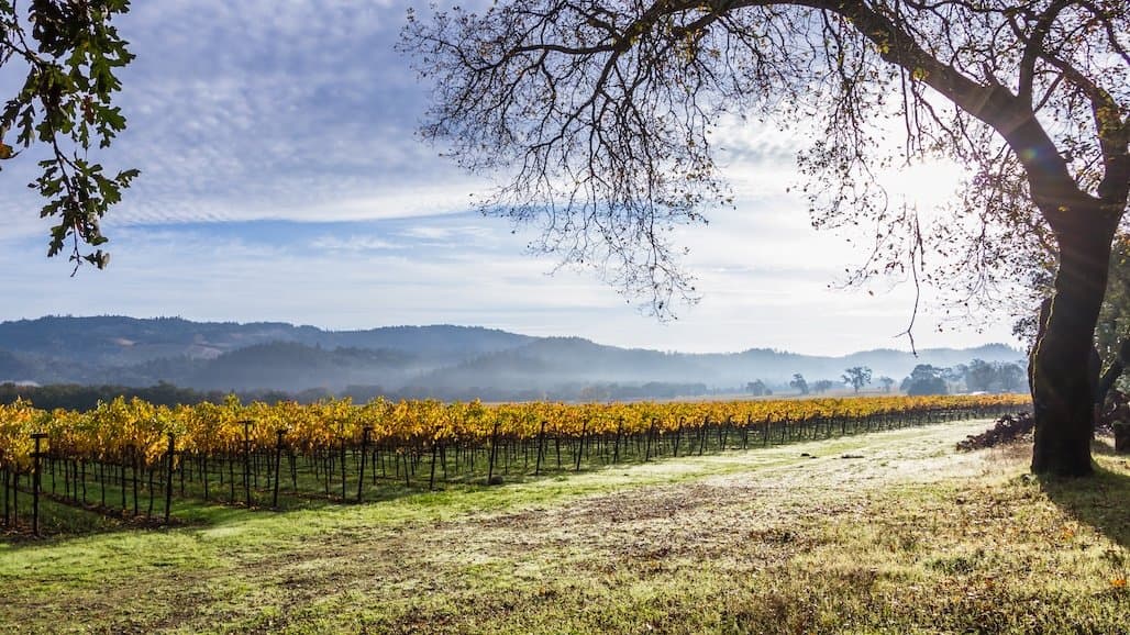 California Senate Pulls American Wine Legislation from Agenda