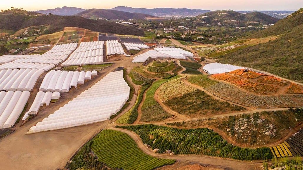Plant California Alliance Rebrands as California Association of Nurseries