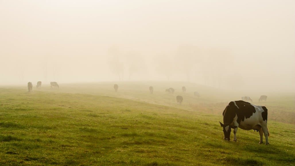 FARM Publishes 2026 Drug Residue Prevention Manual