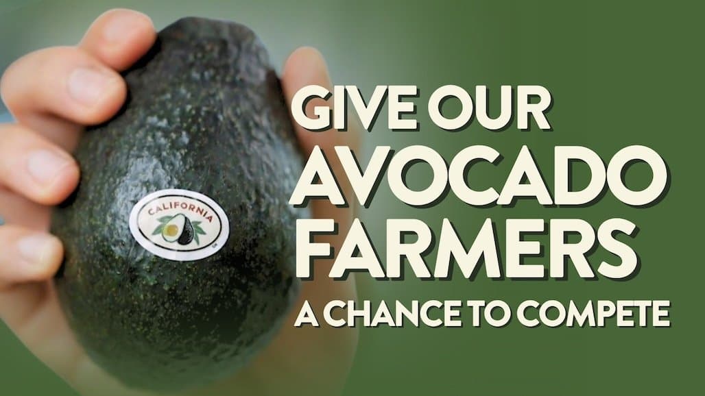 California Avocado Growers Release Video Urging Tariff Rate Quota on Mexican Imports