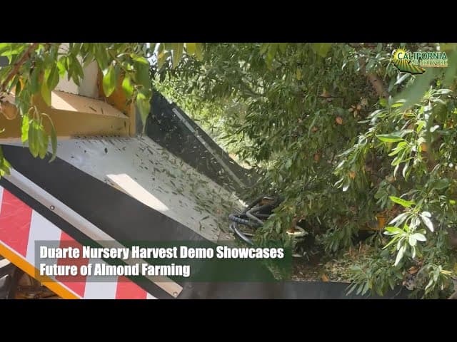 Duarte Nursery Harvest Demo Showcases Future of Almond Farming