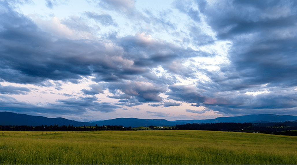 USDA to Invest $5M to  Protect Wetlands and Floodplains on Ag Lands
