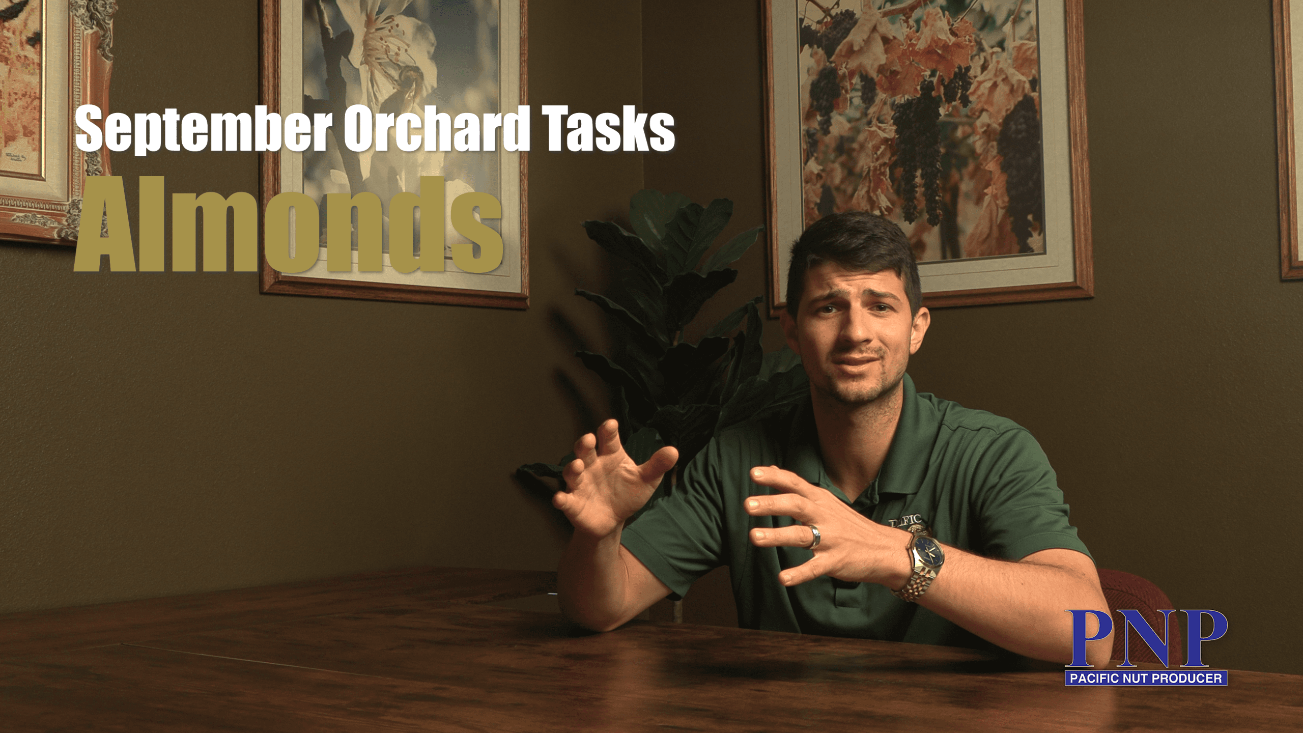 September Orchard Tasks – Almonds