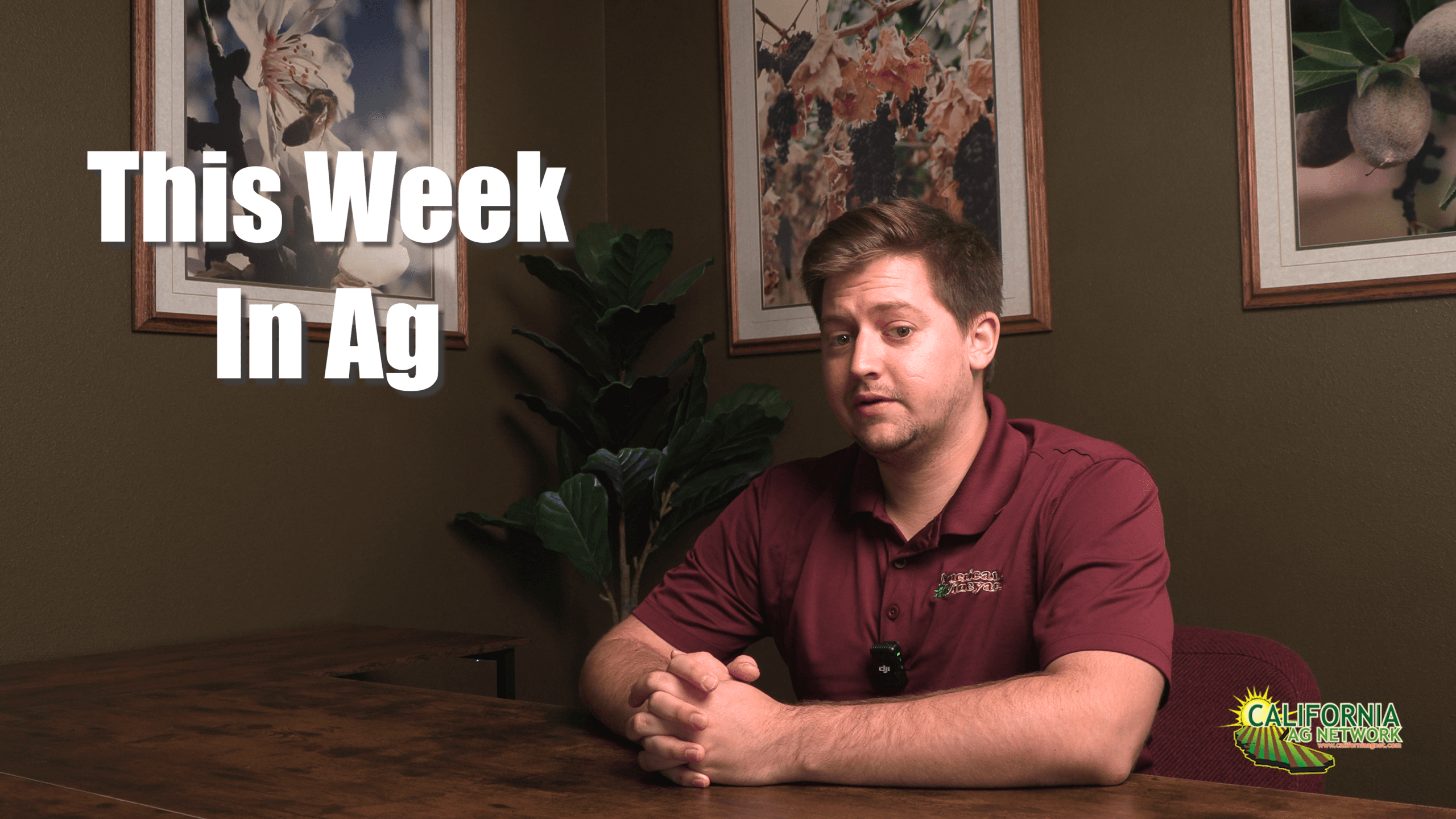 This Week in Ag – September 16