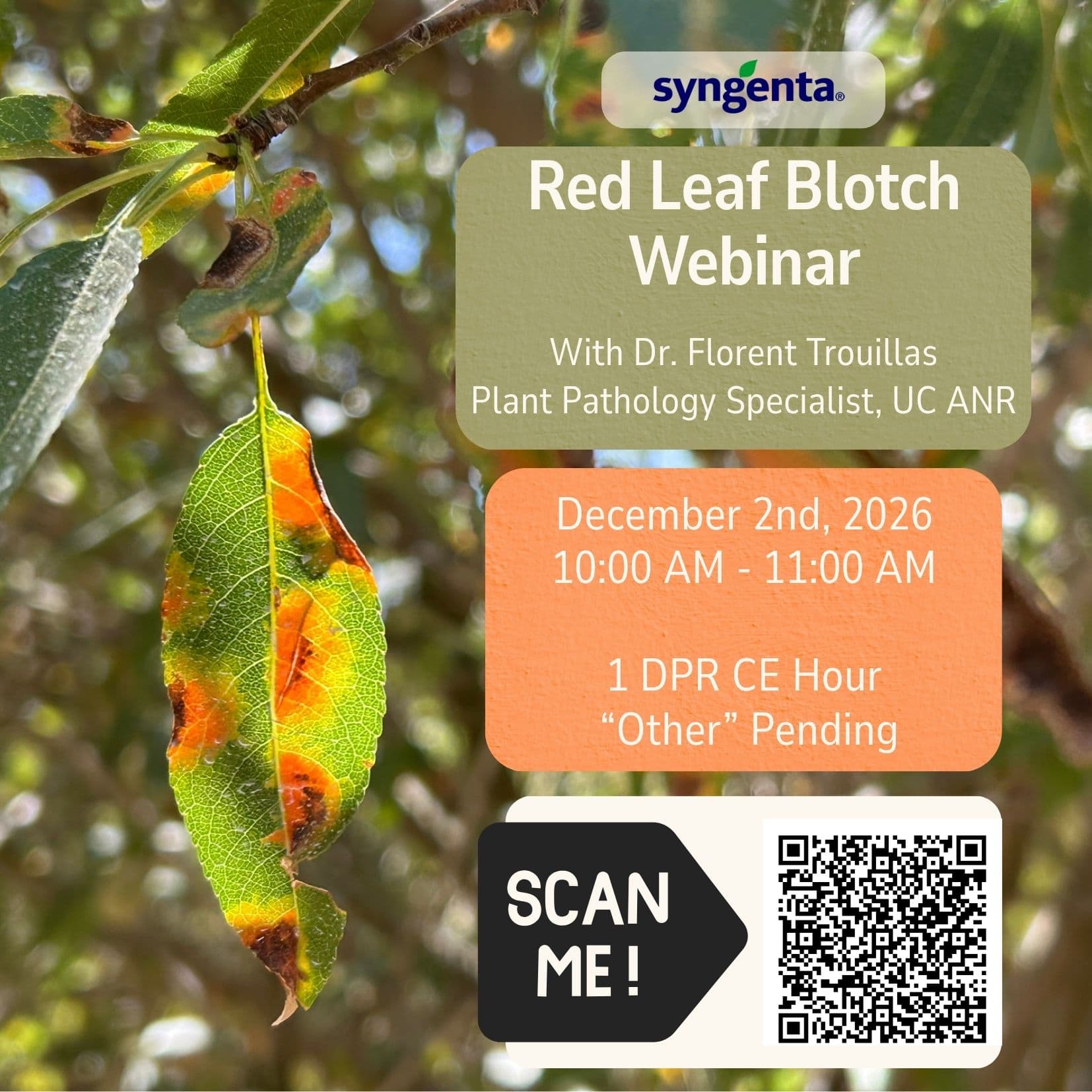 Syngenta Red Leaf Blotch Webinar