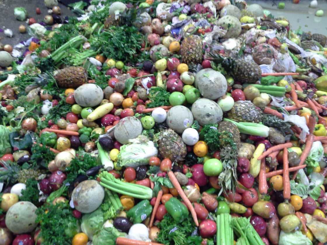 California’s Commitment To Reducing Food Waste