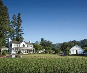 Robert Young Estate Vineyard and Winery: 159 Years