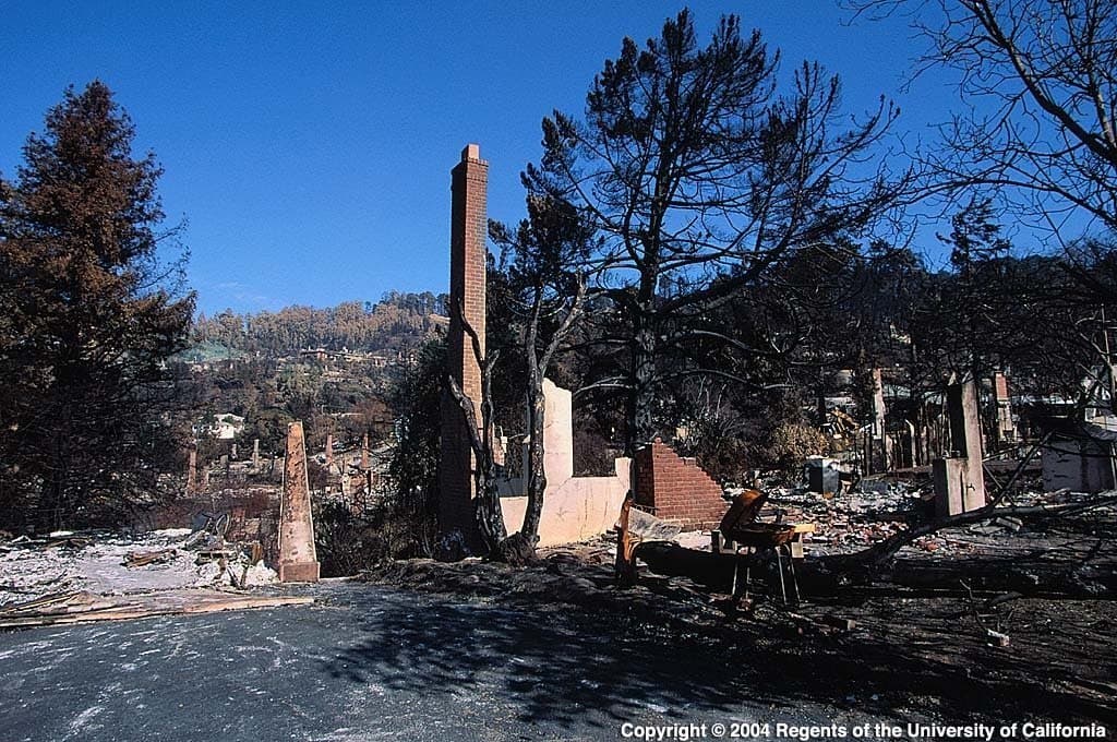 Houses Likely Burned from the Inside Out, Says UCCE Forest Advisor