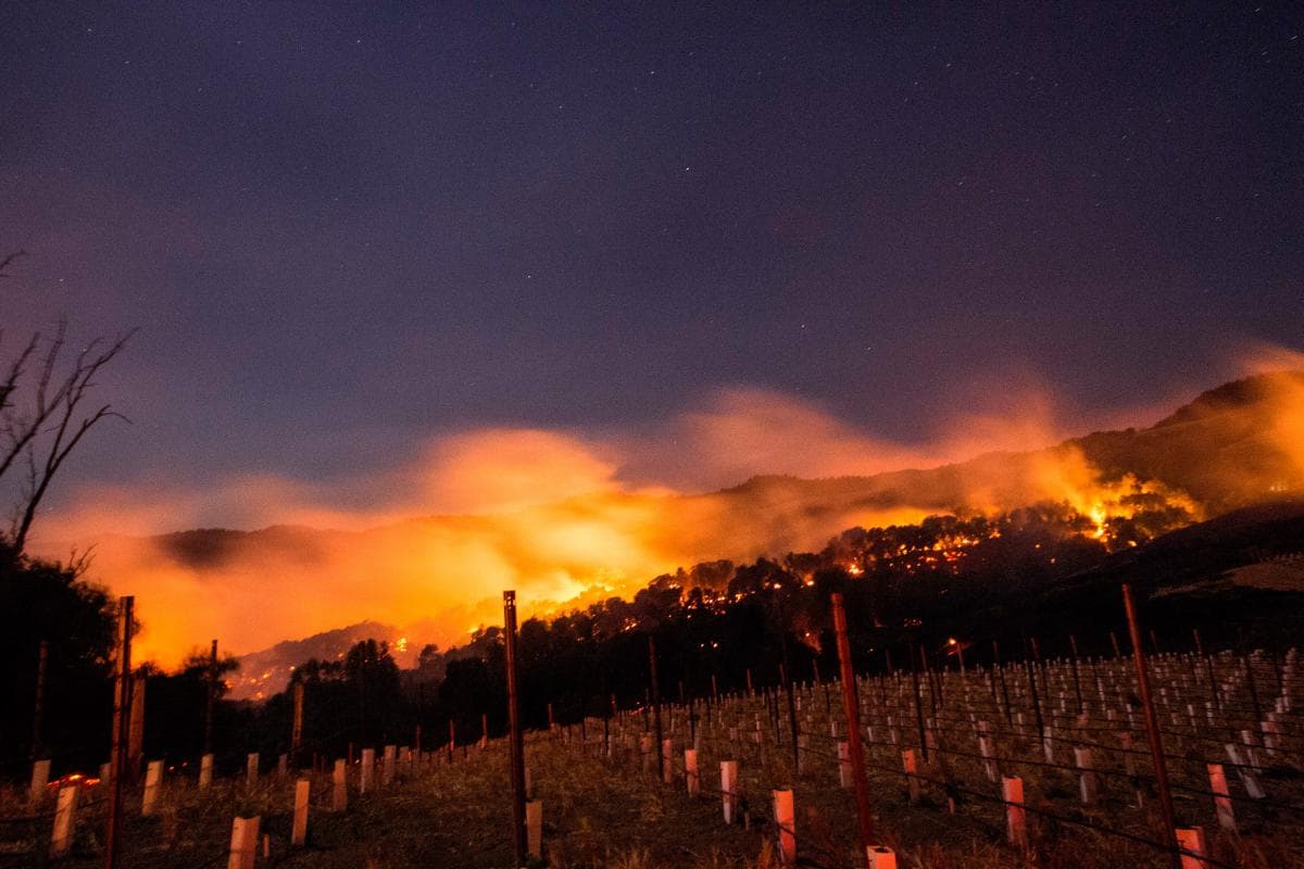Wildfires in Wine Country