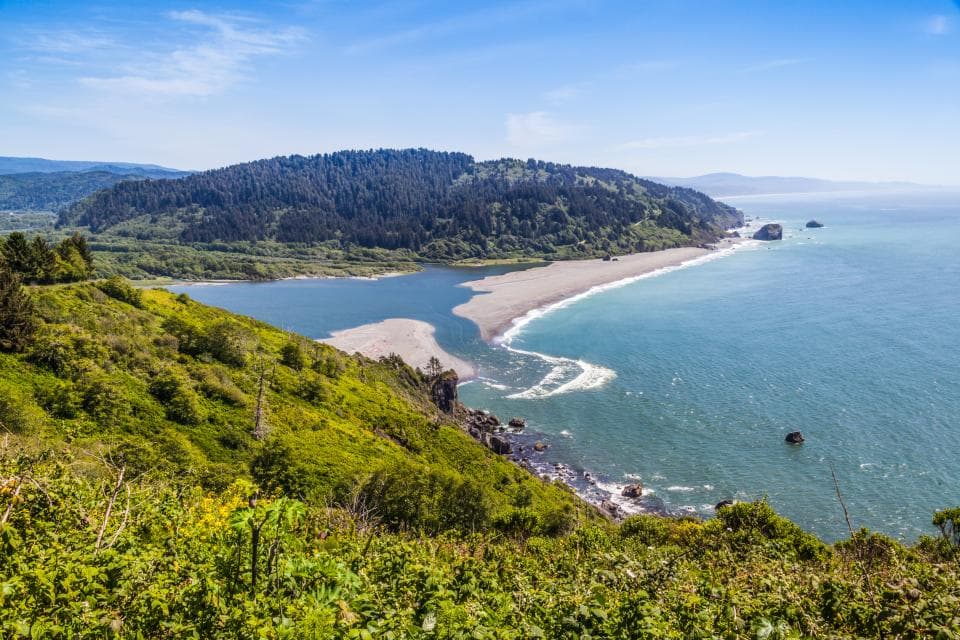 Nearly Half of California’s Vegetation at Risk From Climate Stress
