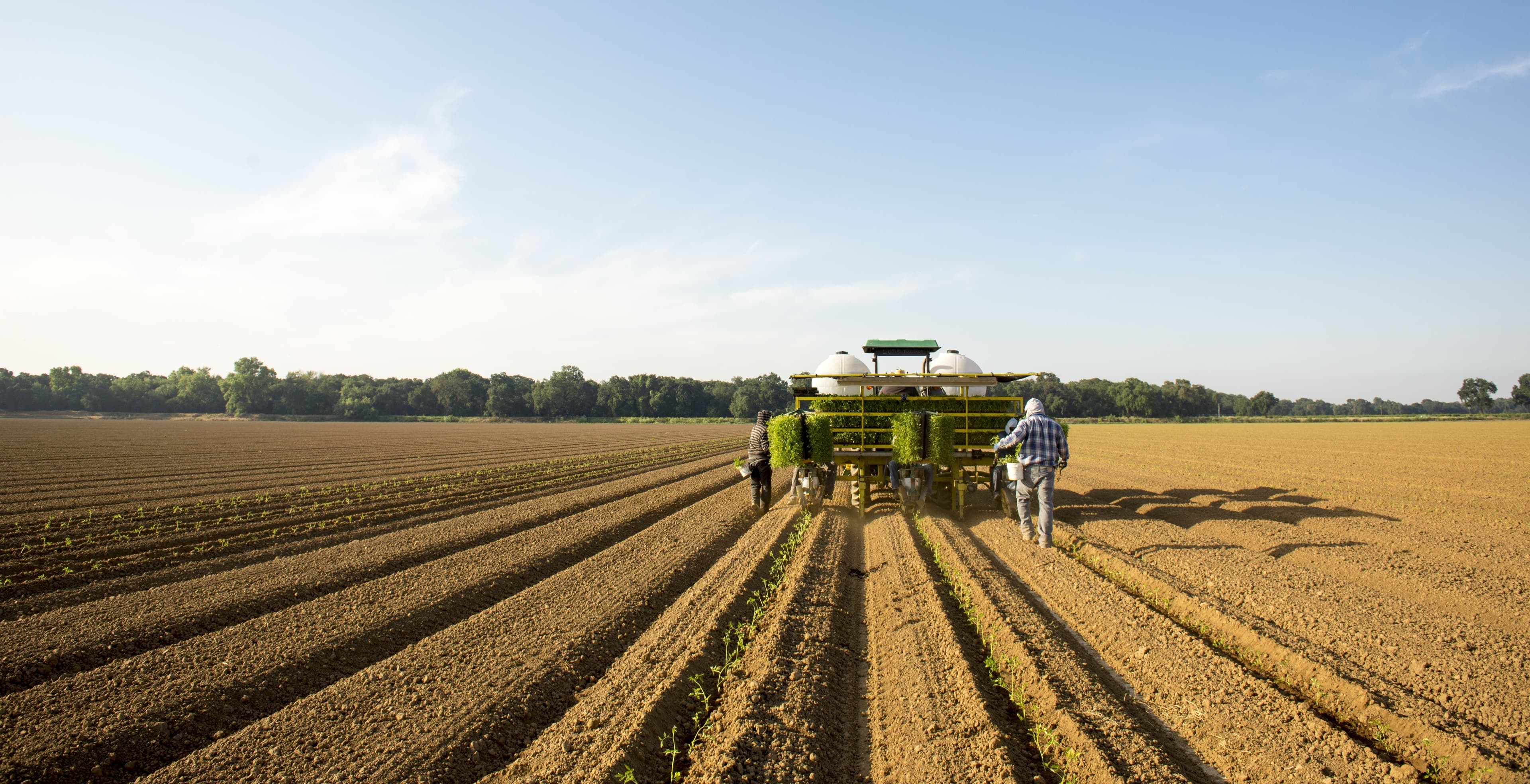 Introducing the California Farmland Trust