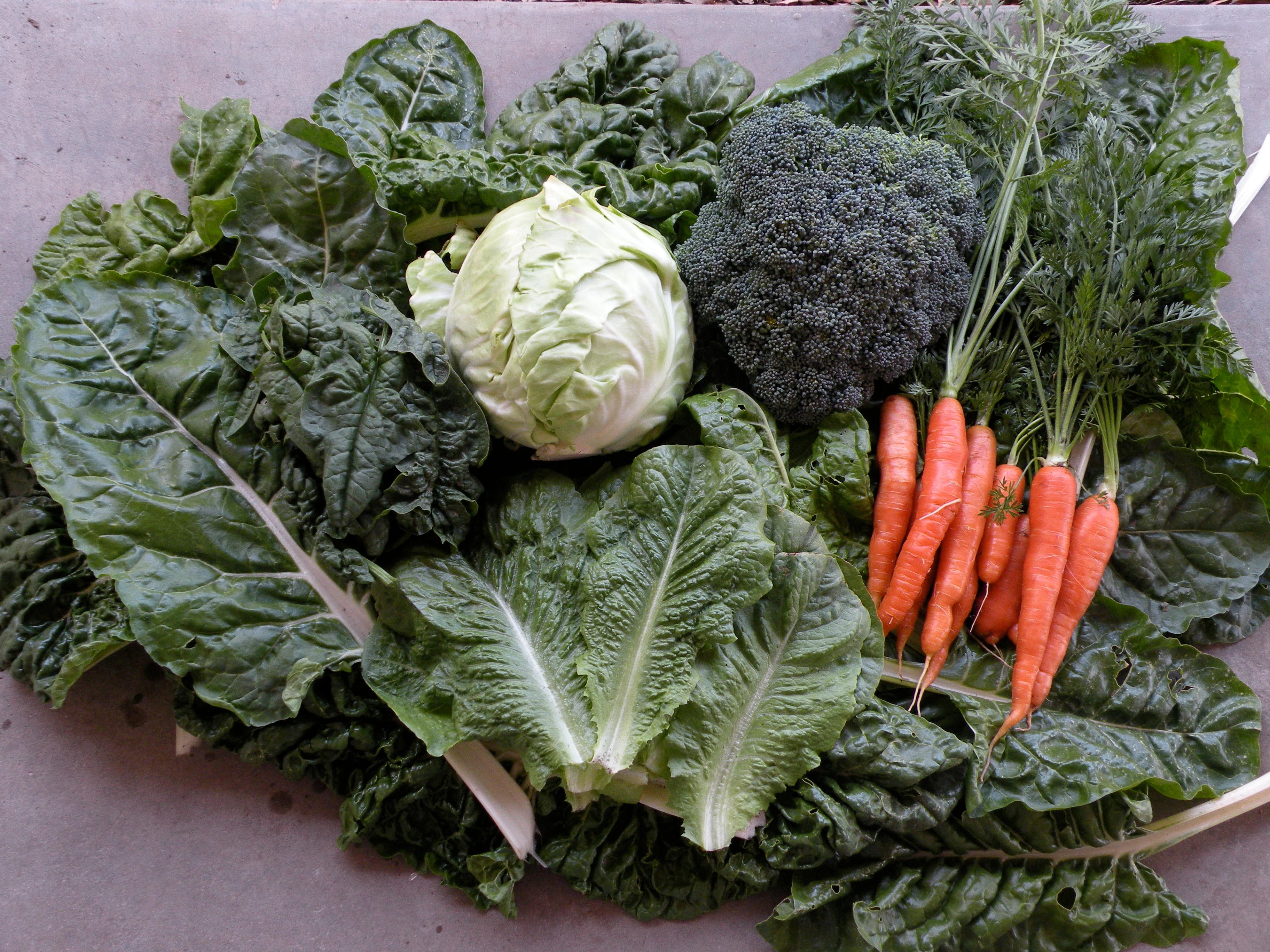 U.S. Organic Sales Break Through $50 Billion Mark in 2018