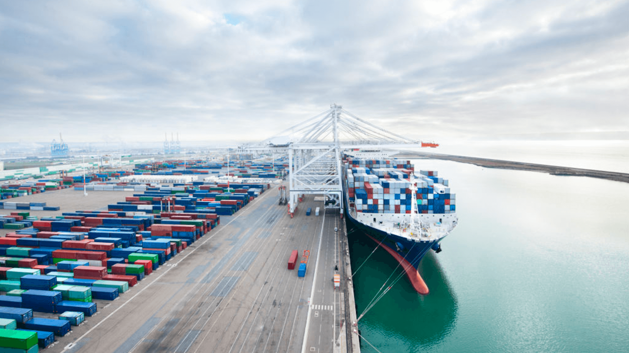 U.S. Dairy Exports Show Sustained Growth to Top Global Markets
