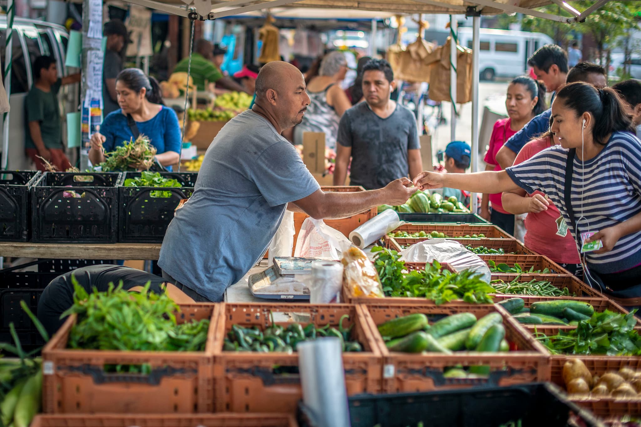 Study Verifies Low Food-Safety Risk at CA Farmers Markets