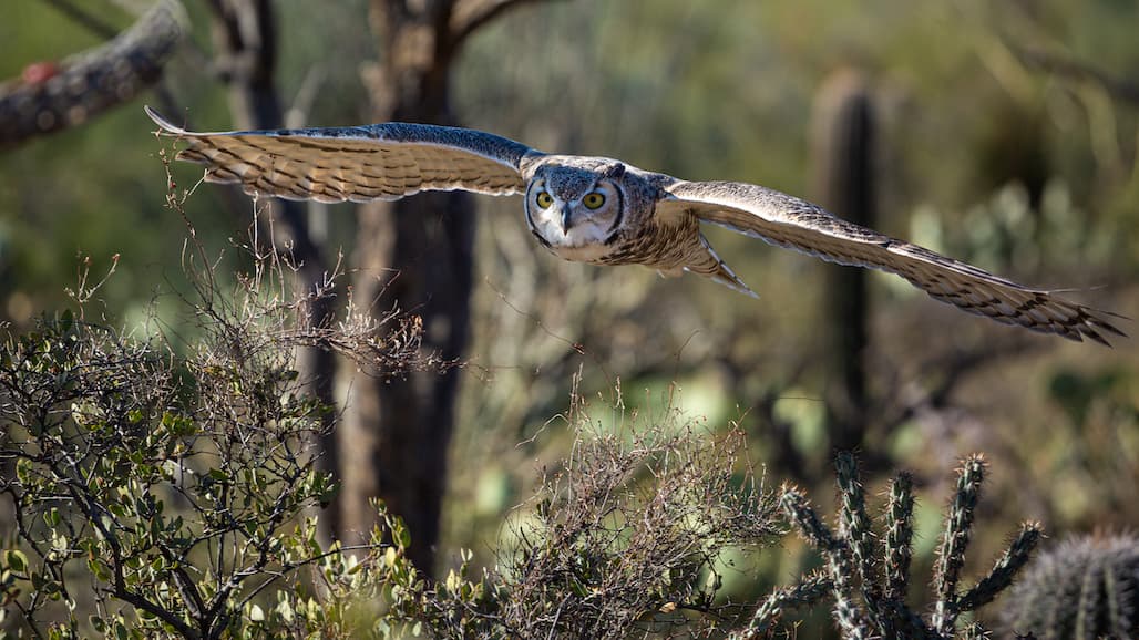 USDA Expands Conservation Reserve Program to Boost Enrollment, Address Climate Change
