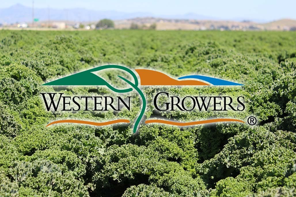 Western Growers Selects 13 Innovation Companies for First Harvest Automation Cohort