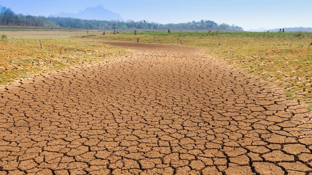 NRCS Drought Assistance for High Priority Areas in CA (EXTENDED)