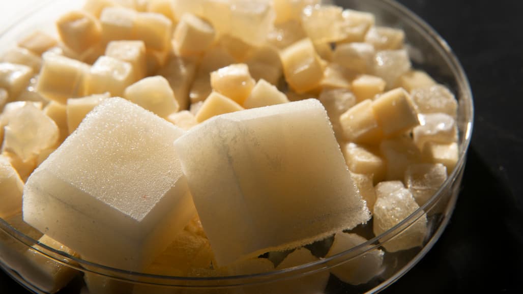 Environmentally Friendly ‘Jelly Ice Cube’ Could Transform Cold Storage