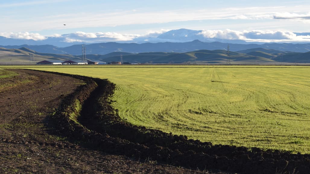 USDA Announces Conservation Reserve Program Signups for 2022
