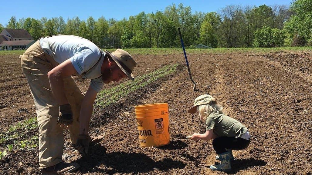 Ag Conservation Easement Programs Permanently Protect Over 3.4 Million Acres