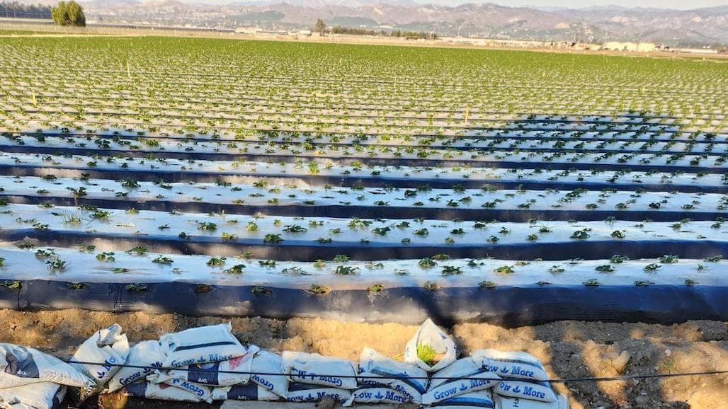 New Beginnings for Hansen Agricultural Research and Extension Center in Camarillo
