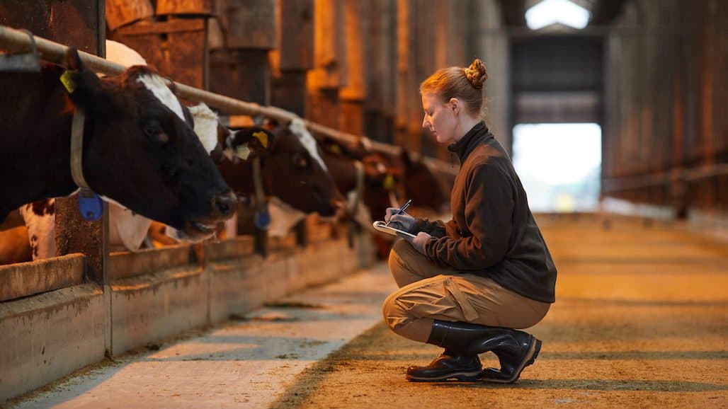 Dairy Industry Innovation Assessment Tool Identifies Most Promising Solutions