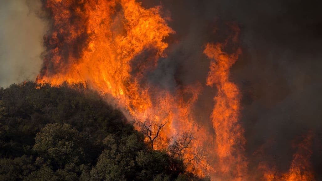 Bold Federal Reforms to Improve Nation’s Wildfire Response System