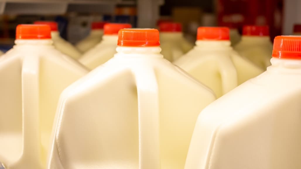 IDFA Warns EU Due-Diligence Rules Are Increasing Costs for U.S. Dairy
